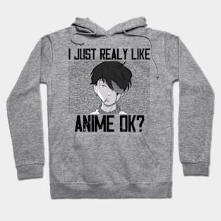 I Just Really Like Anime Ok? Hoodie
